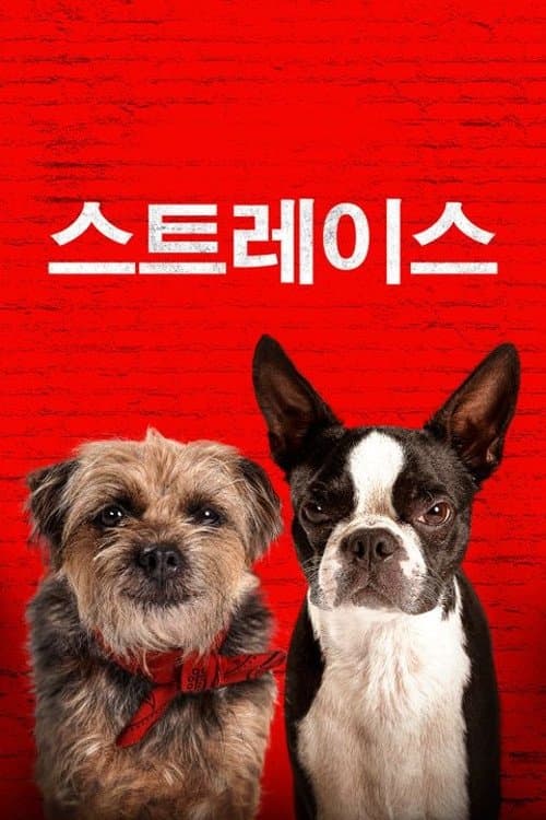 영화 포스터