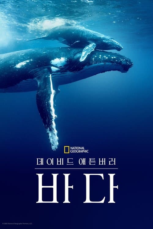 영화 포스터